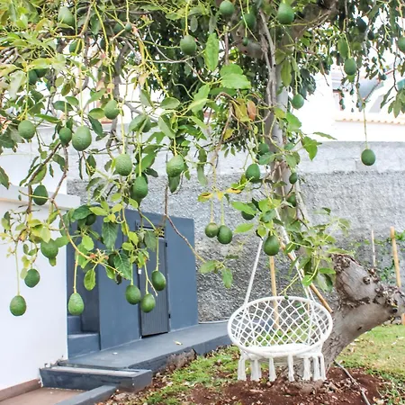 Σπίτι διακοπών Casa Da Arco da Calheta (Madeira)