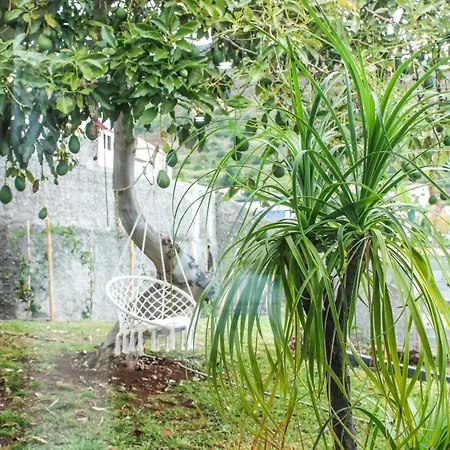 Casa Da Holiday home